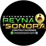 david bracamonte - @tecnobanda_la_reyna_desonora - Instagram