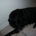 David Brackney - Facebook