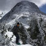 David Bradbury - @braddavebury - Instagram