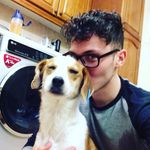 David Brakes - @davidbrakes - Instagram