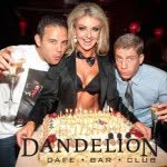 David Branagan - @dandelion_david - Instagram