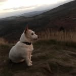 David Brannigan - @david.brannigan1 - Instagram