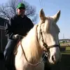 David - @davidw.brann - TikTok