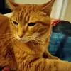 Lauralynn Brannock - @davidbrannock09 - TikTok
