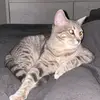 David Branton - @david.branton2 - TikTok