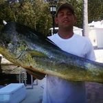 David Brasher - @tigershar82 - Instagram