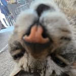 David Brault - @d_brault3538 - Instagram