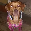 David Breaux - @david.breaux7 - TikTok