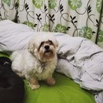 David Breslin - @david.breslin.564 - Instagram