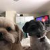 David Breslin - Facebook