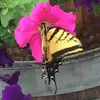 davidbrickman83 - @davidbrickman83 - TikTok