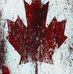 David Brier - Facebook