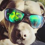 David Briffa - @b_dawg1865 - Instagram