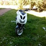 David Briffard - @david_briffard - Instagram