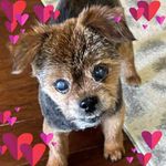 David W Brigance - @tzxin1234 - Instagram