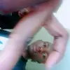 David brilliant kaira - @user3281353696209 - TikTok