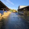 BUTCH 71 - @david.brimble - TikTok