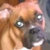 David Brine - @david.brine7 - TikTok