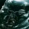 davidbrinkmann2 - @david.brinkmann24 - TikTok