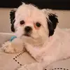 David Brinklow - @david.brinklow6 - TikTok