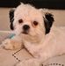 David Brinklow - Facebook