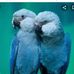 David Brinkmeier - Facebook