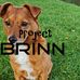 David Brinn - Facebook