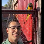 David Brinzan - @davidbrinzan - Instagram