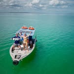David Brisk - @davidbrisk - Instagram