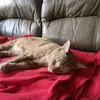davidbriski323 - @mrbriski - TikTok