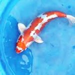 david britten - @britten322 - Instagram