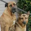 David Britten - @david.britten02 - TikTok