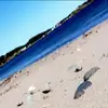 David Britten  - @davidbritten_ - TikTok