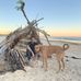 David James Brittingham - Facebook