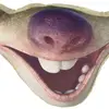 davidbritz240 - @davidbritz240 - TikTok
