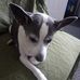 Dave Broadbridge - Facebook