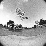 David Broberg - @bmxfilms - Instagram