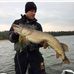 David Broberg - Facebook