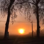 David Brocard - @david.brocard.58 - Instagram