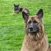 Dave Brocato - @dave.brocato - TikTok