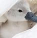 David Brod - Facebook
