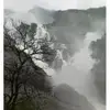 KRISHNA_GUPTA - @david_brod - TikTok