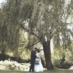 David Brodeur - @davebrod12 - Instagram