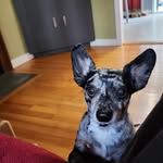 David Brodeur - @david.n.brodeur - Instagram