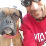 David Brodin - @davidbrodin74 - Instagram
