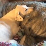 David Brodin - @dbrodin314 - Instagram