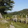 davidbrodin915 - @davidbrodin915 - TikTok