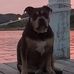 Dave Breitman - Facebook