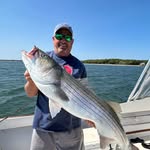 David Brogioli - @davidbrogioli - Instagram