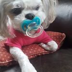 Shirley Brogdon David Wright - @shirleybrogdondavid - Instagram